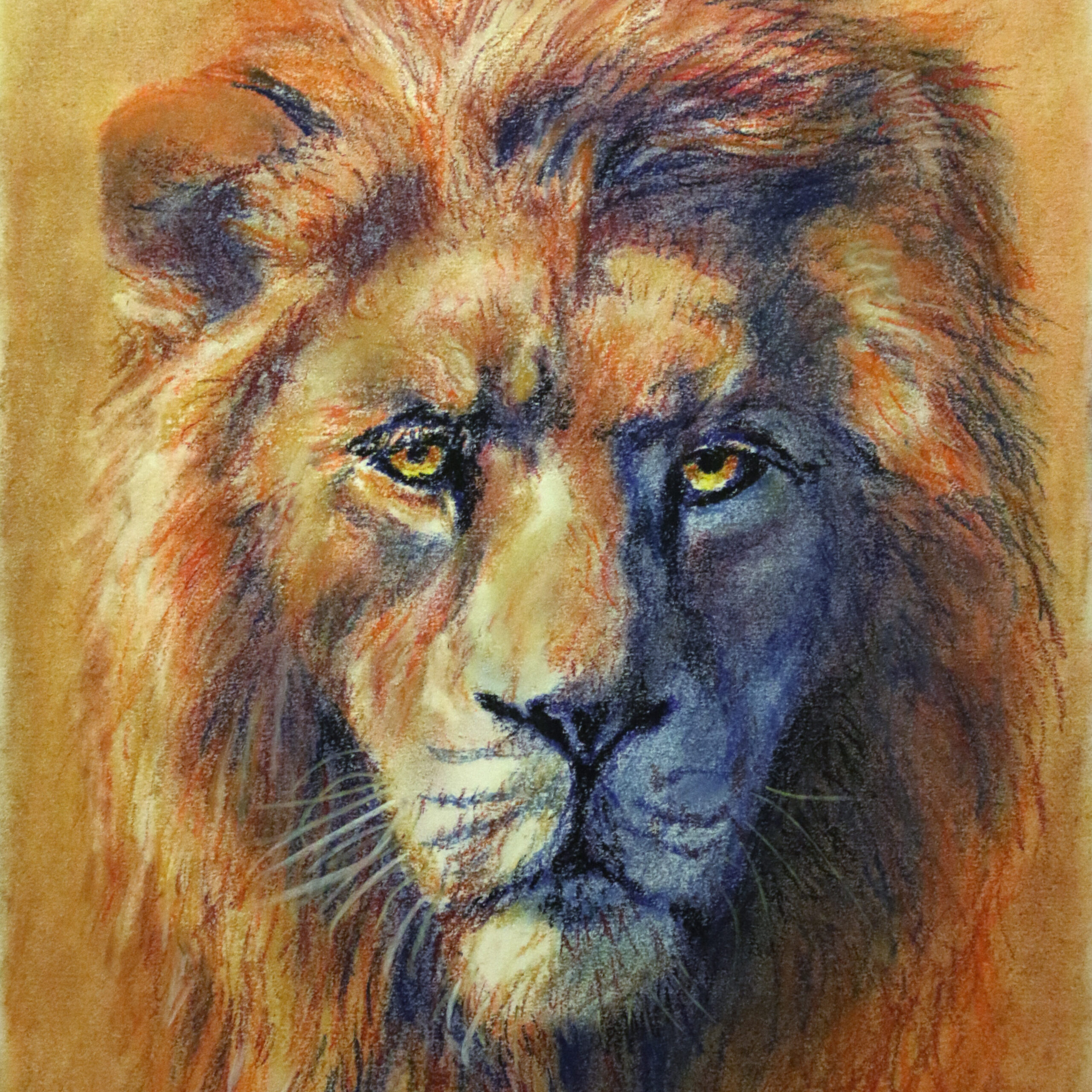 Portrait of a lion by Dane Ikin