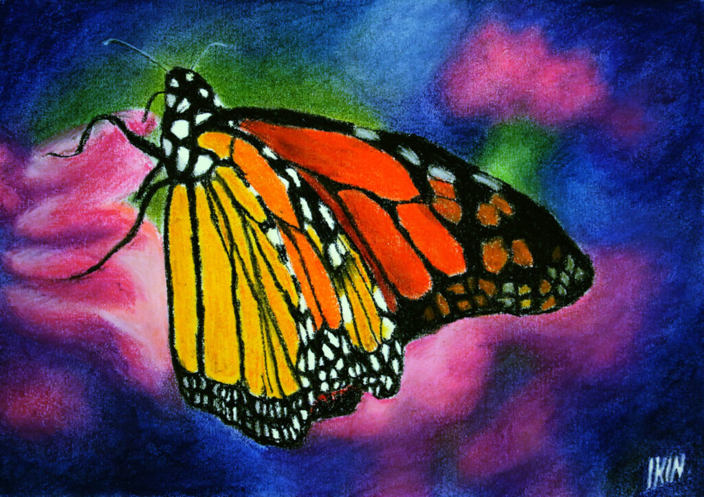 Drawing of a monarch butterfly