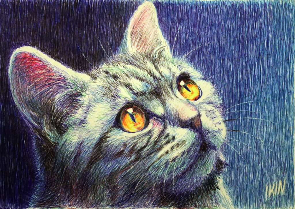Drawing of a cat