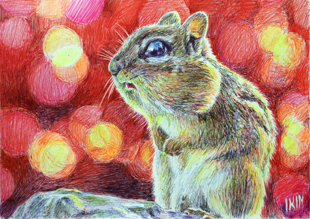 Drawing of a chipmunk