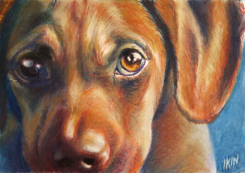 Drawing of a dog
