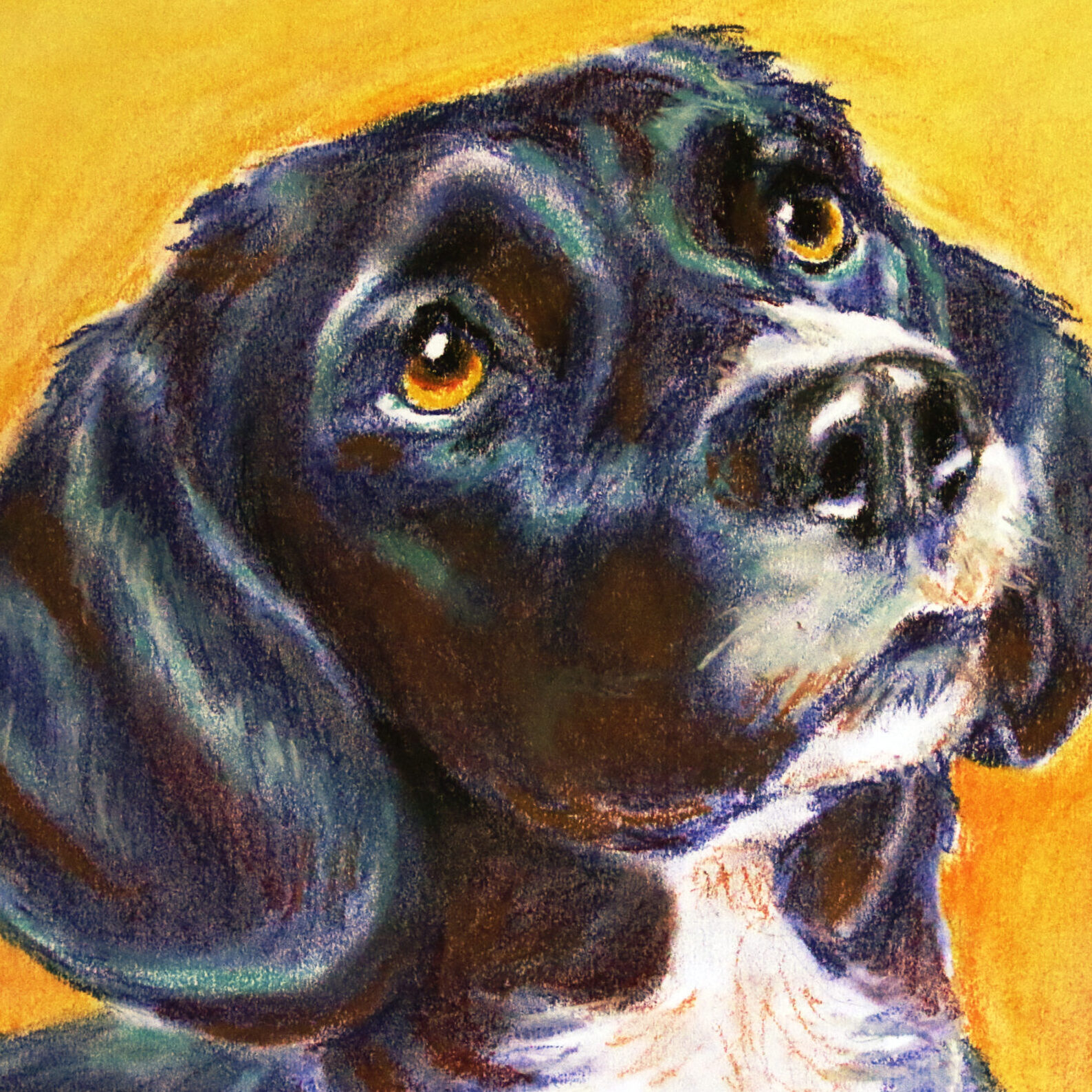 Drawing of a black dog
