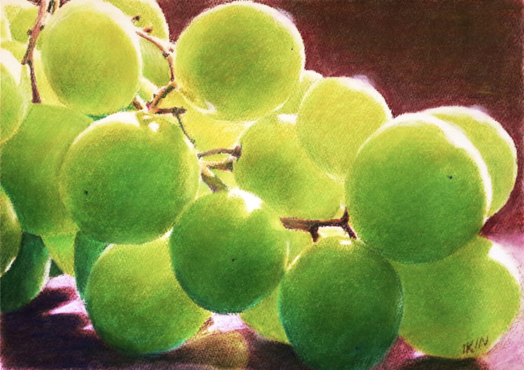 Drawing of grapes