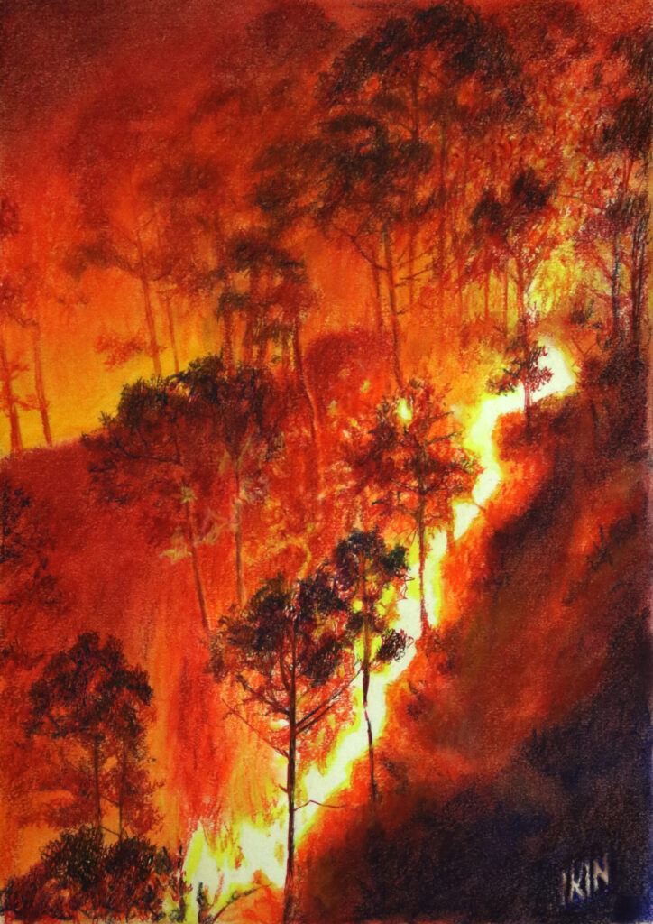Drawing of a bushfire