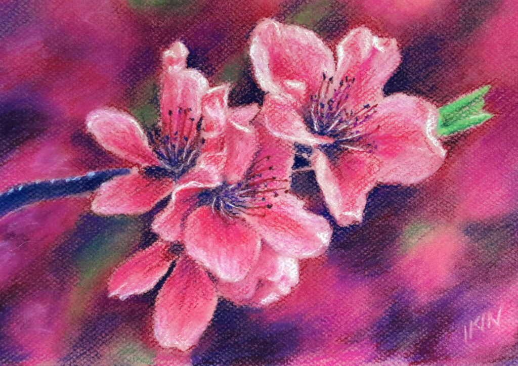Drawing of pink flowers