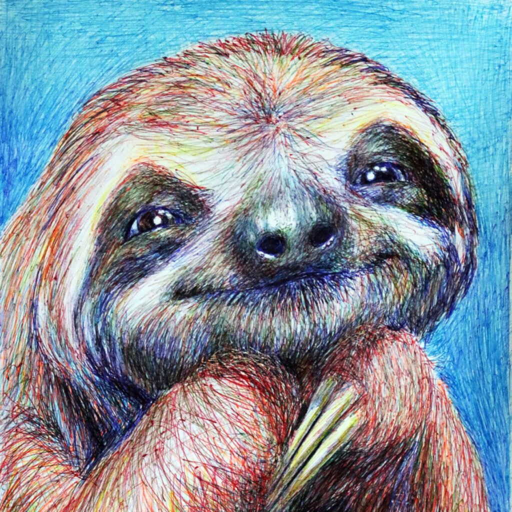 Drawing of a sloth